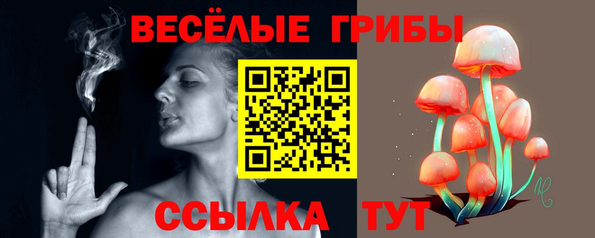 Псилоцибиновые грибы прущие грибы  Вход с VPN  Гусиноозёрск  Галлюциногенные грибы Cubensis 
